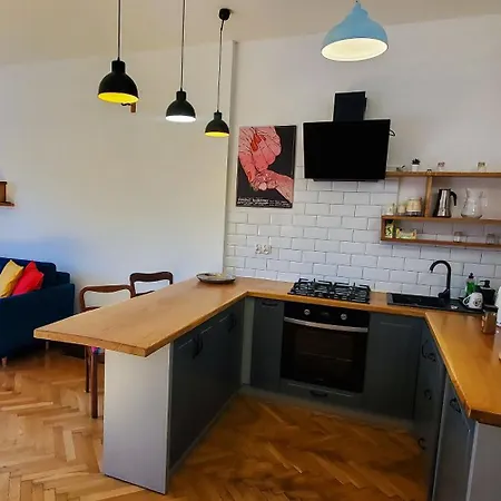 Old Town Parkview Apartment Krakau Exterior foto